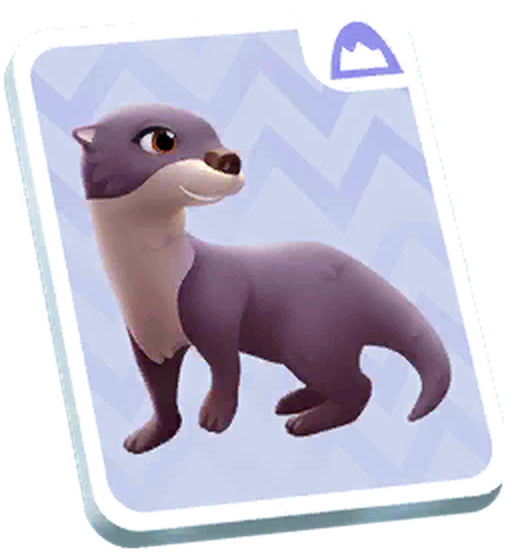 River Otter exotic animal card