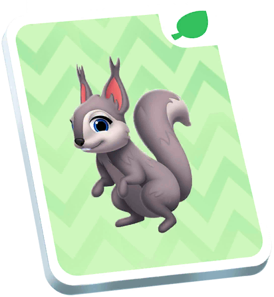 Abert's Squirrel Card